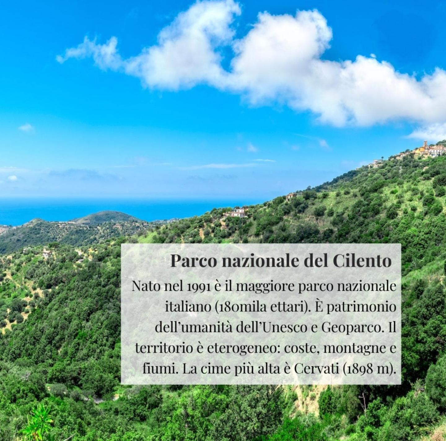 Nennella Cilento House Cuccaro Vetere Exterior foto